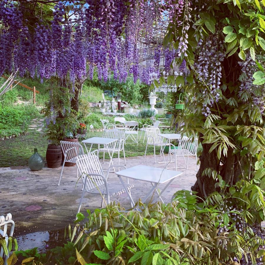 Bed and Breakfast R&B Mulino Marsa CastellʼArquato Exterior foto